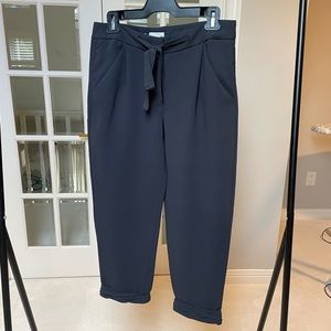 Wilfred Cropped Pants size 4